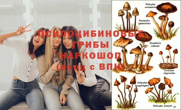 СК Заводоуковск