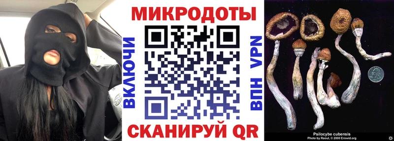 Купить закладки  Лысьва  Псилоцибиновые грибы GOLDEN TEACHER 